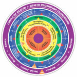 Circle of Health for publications